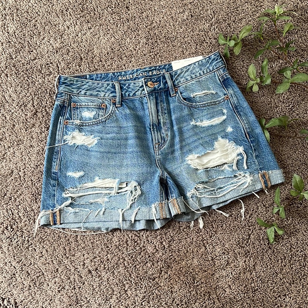 American Eagle Outfitters Tomgirl Short